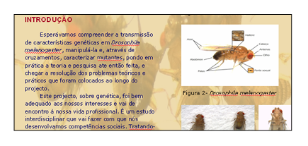 Pormenor do poster cientfico dos alunos do Garcia