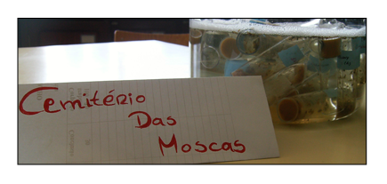 Cemitrio de moscas