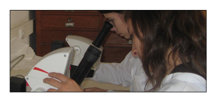 Alunos a trabalharem nas lupas