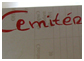 Cemitrio de moscas