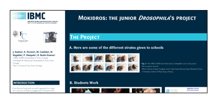 Recorte do poster Mokidros: o projecto de jovens drosophilistas