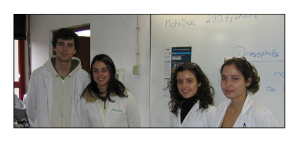 os quatro alunos do grupo de trabalho do Garcia de Orta